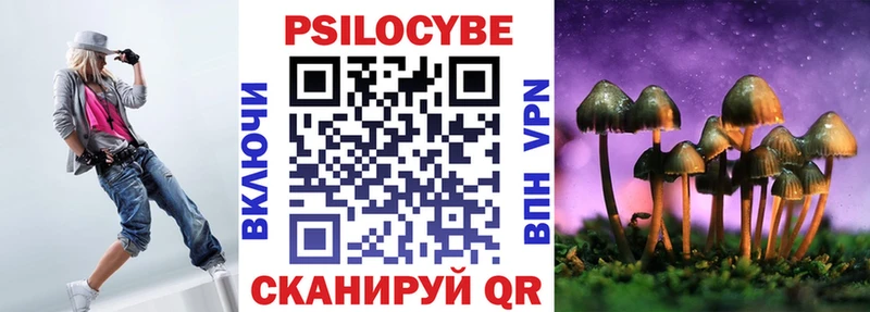 Галлюциногенные грибы Psilocybe  Агидель 