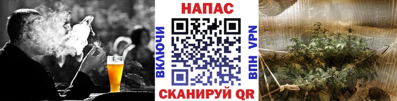 Марихуана план  как найти закладки  Агидель 